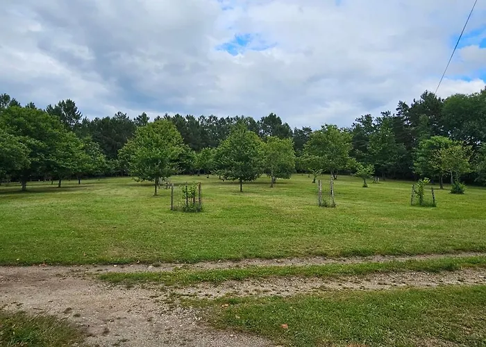 فيلة La Perigourdine *